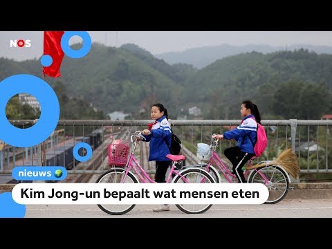 Video: Blootstelling Aan Familie En Georganiseerd Geweld En Bijbehorende Geestelijke Gezondheid Bij Noord-Koreaanse Vluchtelingenjongeren In Vergelijking Met Zuid-Koreaanse Jongeren