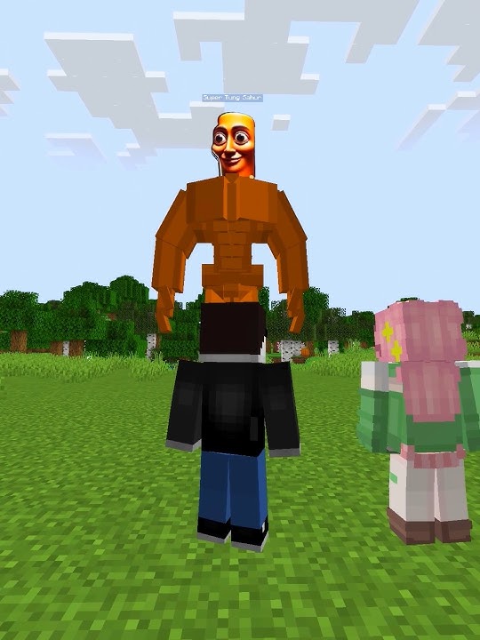 Minecraft