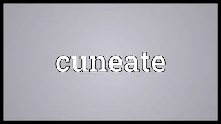 Cuneate Meaning