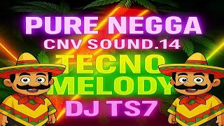 👉 PURE NEGGA - CNV SOUND 14 (Remix Tecno Brega) | Grave Explodindo 💥 DJ TS7