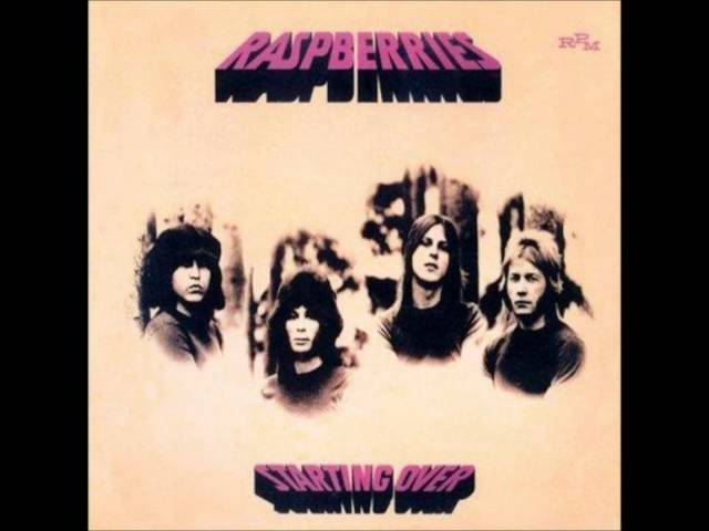 Raspberries - Party's Over
