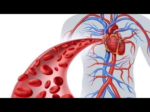 HIR INA DHIIGAA MALLATTOO KA UMSAA FI FURMAATA