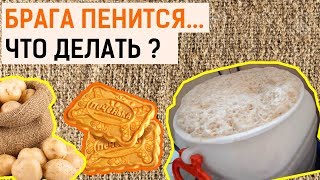 Пена на браге! Почему пенится брага? И как погасить пену?