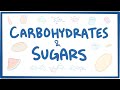 Carbohydrat v ng  ha sinh