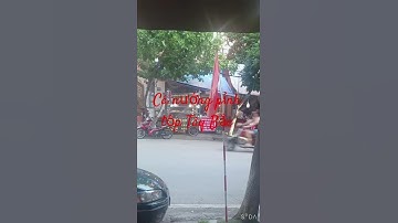 Cá nướng pỉnh tộp Tây Bắc tại dốc Phai Món đường Bắc sơn