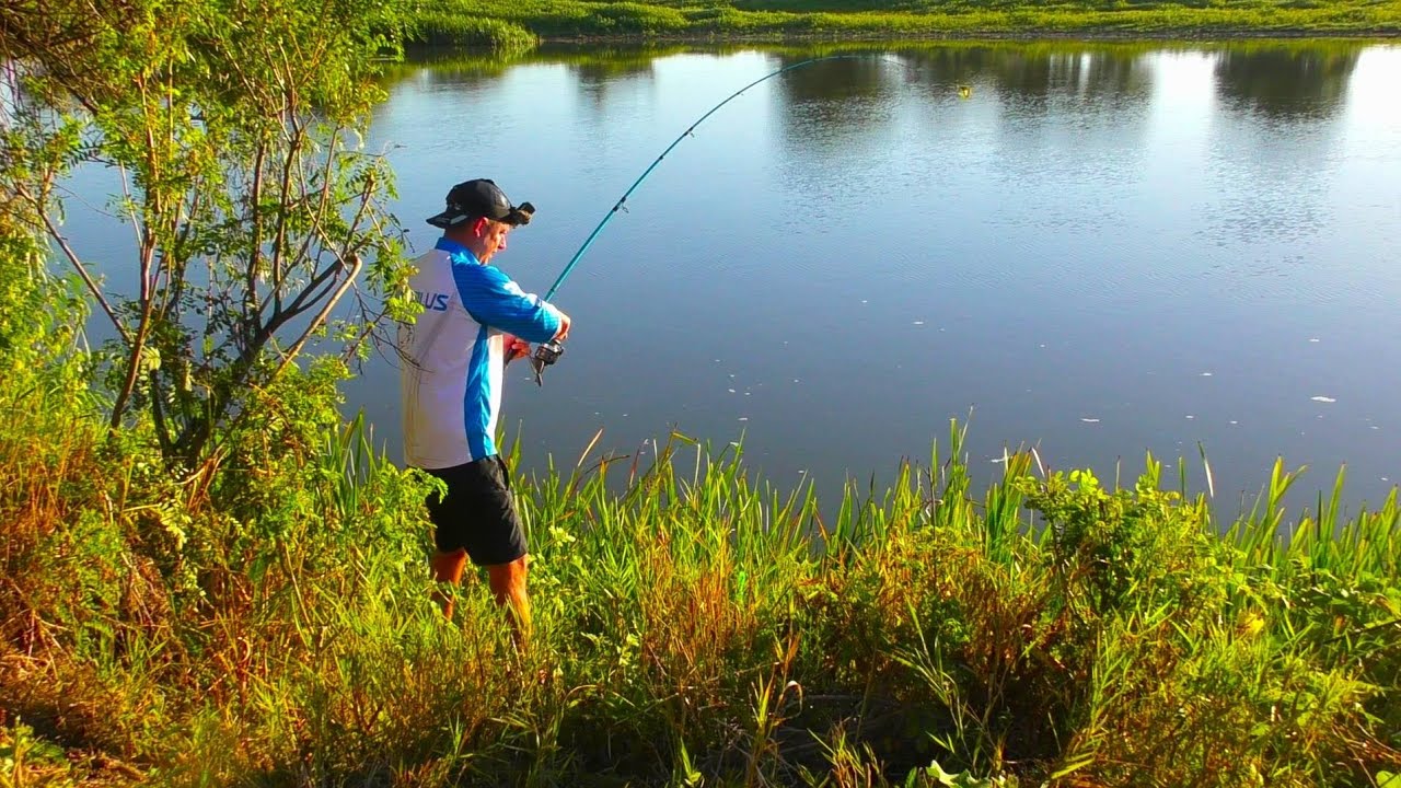 Еноты тарантулы и сазаны Рыбалка в Астрахани в одиночку