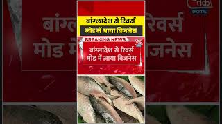 Bangladesh India Trade: 2 महीने में भारत ने किया 500 टन Hilsa Export #shortvideo #latestnews