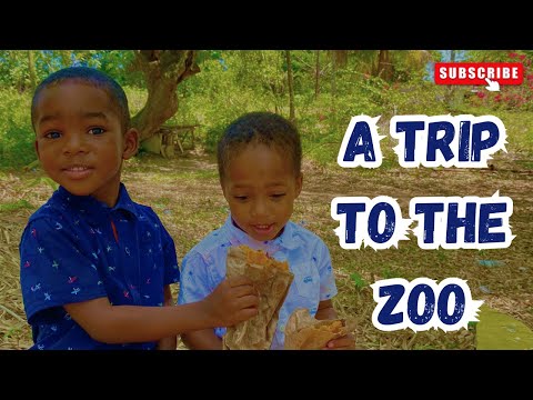 A Trip To The Zoo (PART 1)