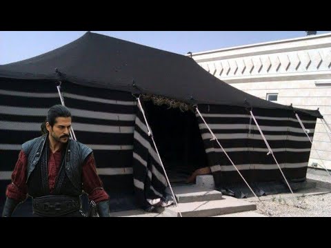 الطبع يغلب التتطبع