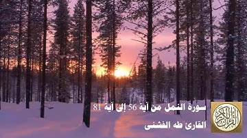 طه الفشني - سورة النّمل من آية ٥٦ إلى آية ٨١ -فَمَا كَانَ جَوَابَ قَوْمِهِ إِلَّا أَن قَالُوا ...