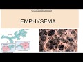 Emphysema: Types, Pathogenesis and morphology