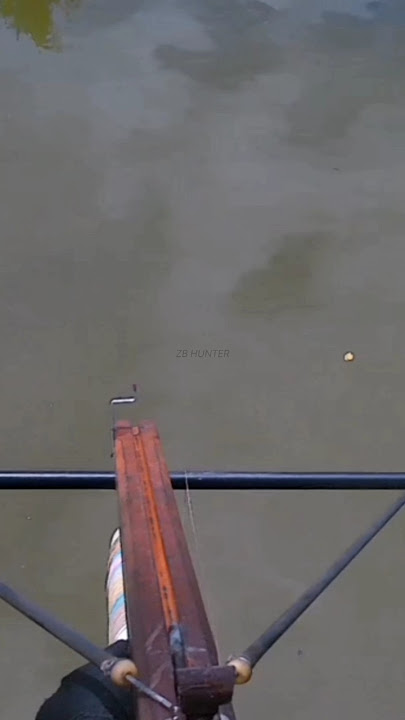 detik detik kakap melintas #short #paserikan #pasertailan #maserkakap