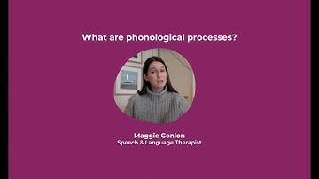 What are phonological processes?
