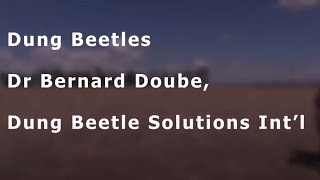 Dung beetles with Dr Bernard Doube