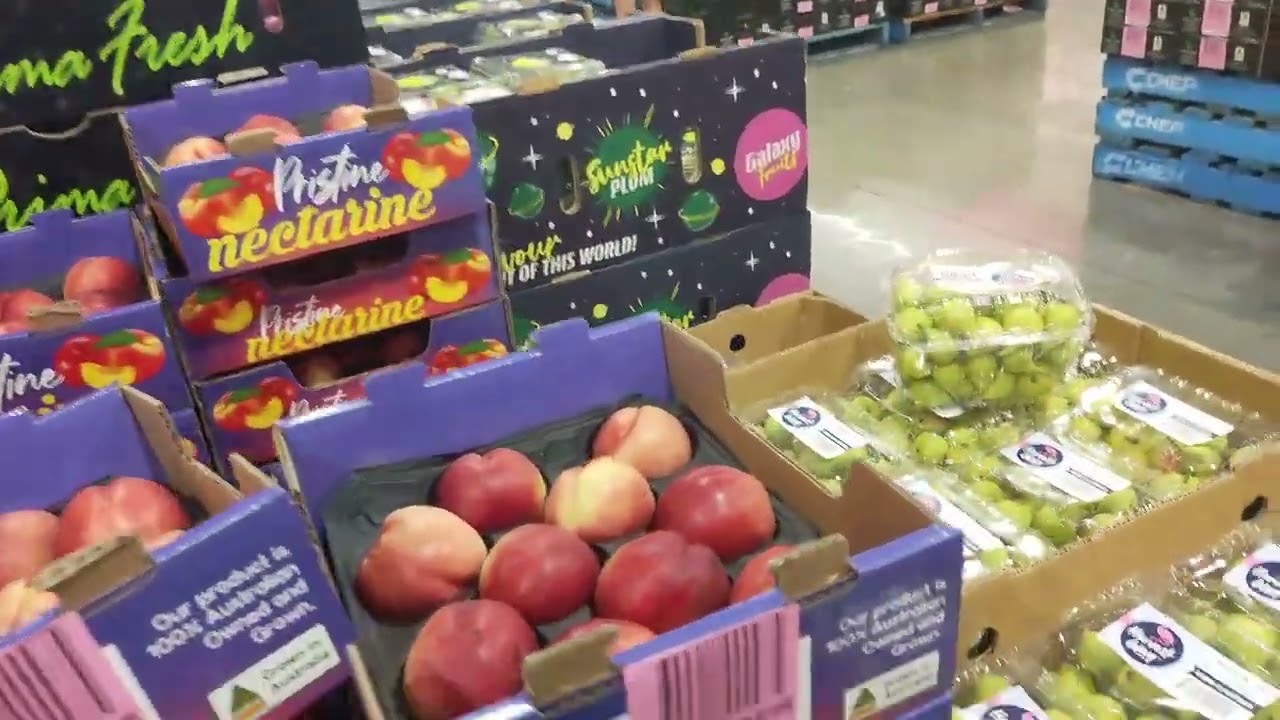 Big Costco Stock Up on a Budget February 2026