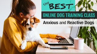 Best Online Dog Training Class for Anxious and Reactive Dogs by Alyssa Rose 815 views 3 years ago 1 minute, 17 seconds
