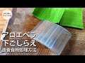 【完全解説】アロエベラの下ごしらえ/下処理　正しい食べ方知っているんか？ #スマート中華 #アロエベラ #アロエ