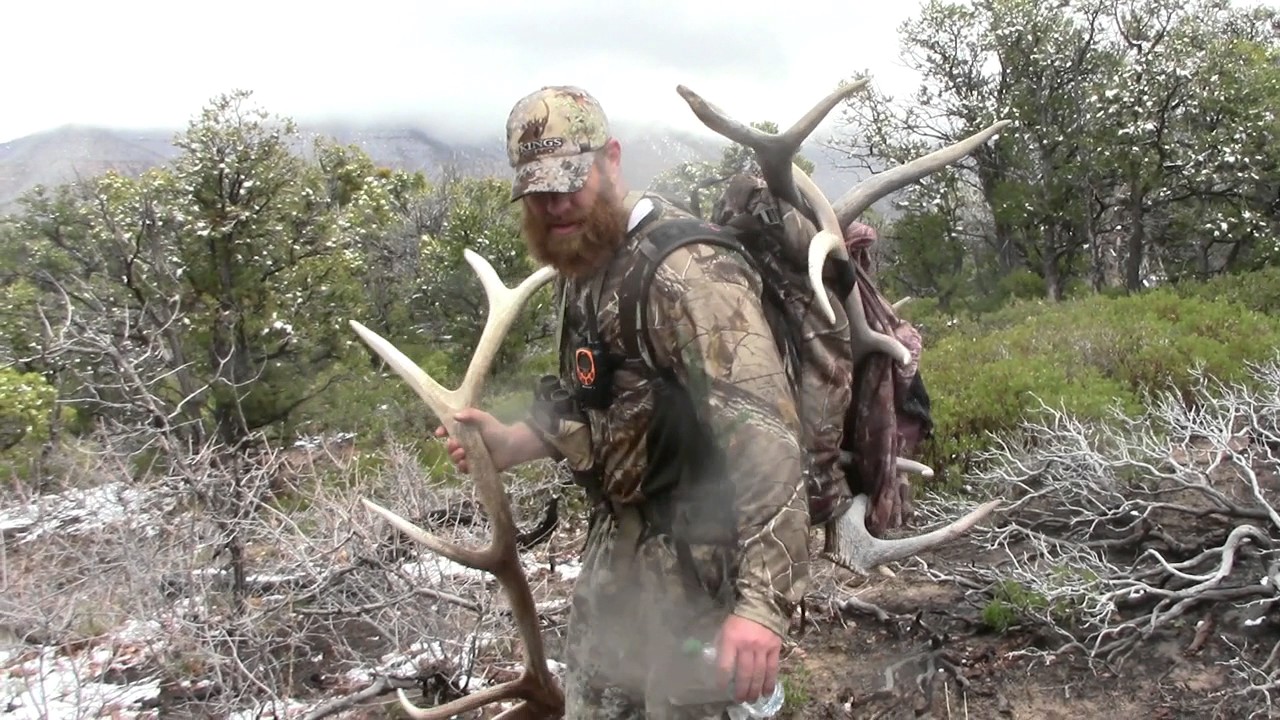 2017 Utah Shed Hunt, opening day! YouTube