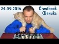 Сергей Шипов играет в блиц! Турнир Crestbook/КС + Феникс 24.09.2016