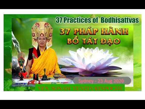 37 Practices of Bodhisattvas-37 Pháp Hành Bồ Tát Đạo-VEN. SONAM TENZIN RINPOCHE-Syd-23-08-2020-Day16