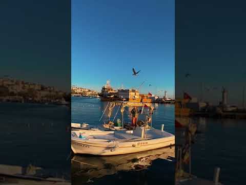 Mutlu Şehir Sinop