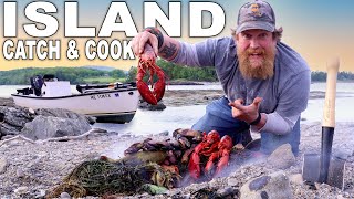 Maine Island Catch & Cook | Crabs and Lobster Underground