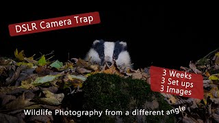 DSLR Camera trap  3 weeks, 3 set ups, 3 images.