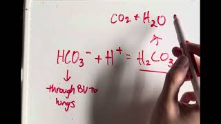 Video Assignment 4 