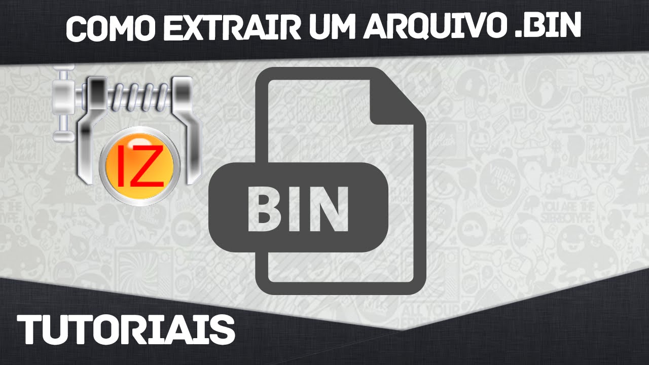O que e um arquivo bin