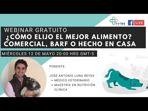 Video: Camada De Gatos: Siete Marcas Comparadas