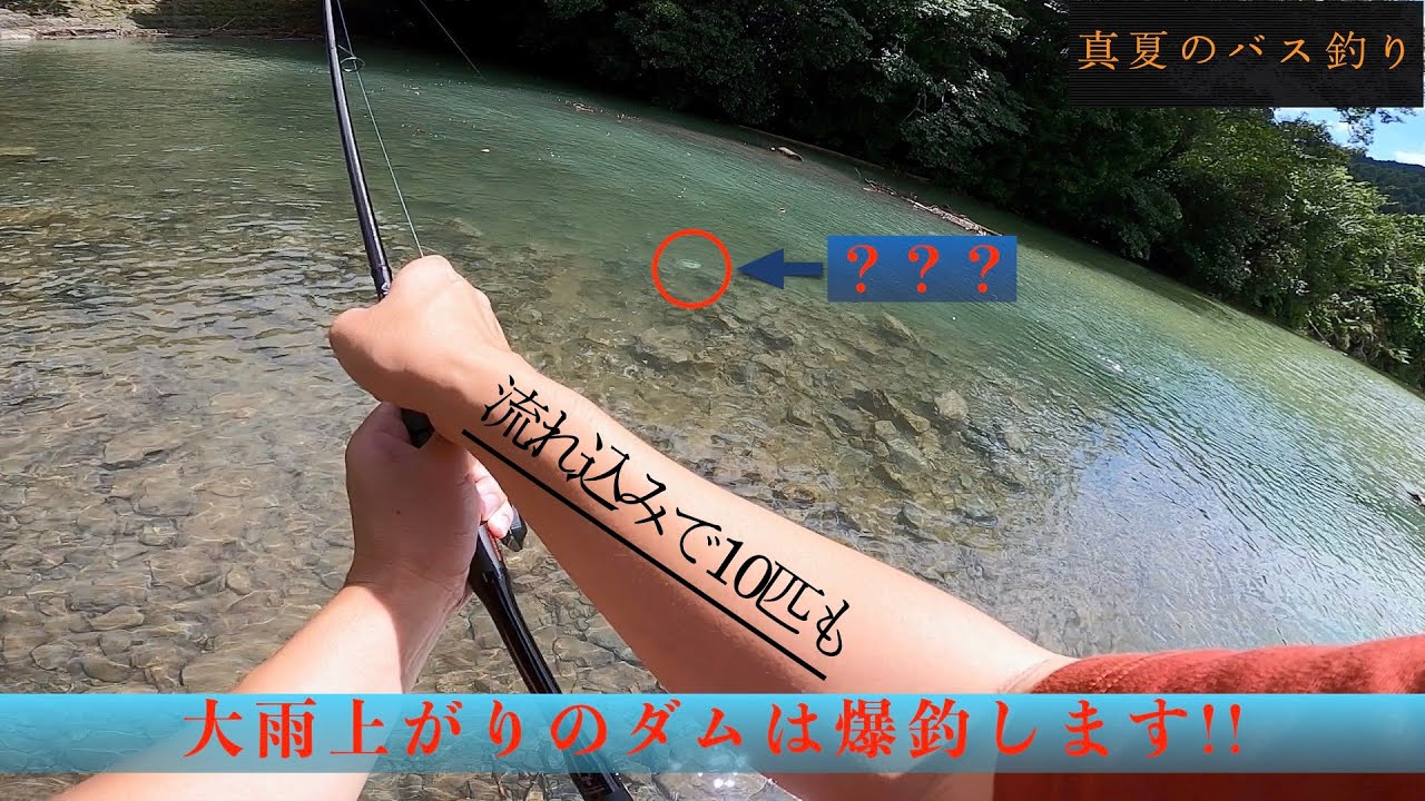 大雨上がりのダムは バスが爆釣します Youtube