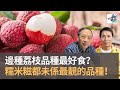 今年茘枝大豐收　邊種荔枝品種最好食？　糯米糍都未係最靚的品種！｜為食麻甩騷｜梁家權、班哥