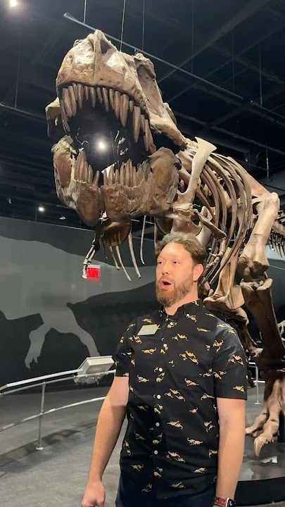 What did dinosaurs sound like? 🗣️🤨🦖