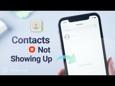 [FIXED!] iPhone Contacts Not Showing Up? 4 Solutions You Can't Miss Out!