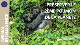 Avec les Pygmées pour sauver la forêt tropicale du Congo I IA
