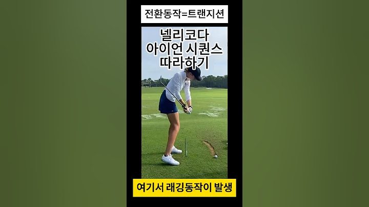 넬리코다 아이언 치는방법. P1~P6구간별로 슬로우모션