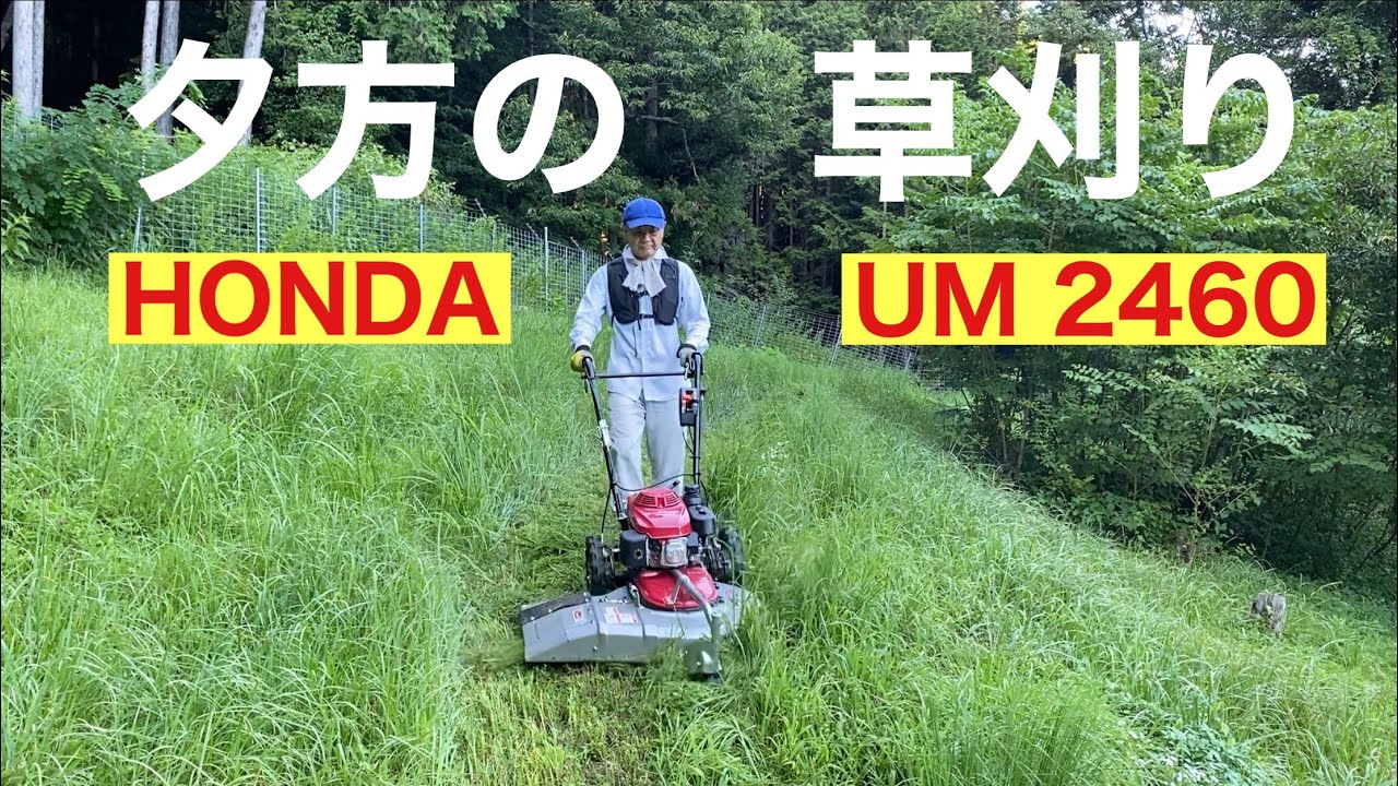 草刈機 HONDA UM2460 - 農業