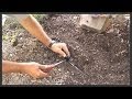 Landscape Lighting: Splice into landscape cable