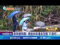 新北消防員殉職事件