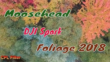 Fall colors (DJI Spark, CPL Filter test)