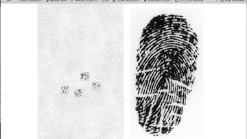 Fingerprint Matching