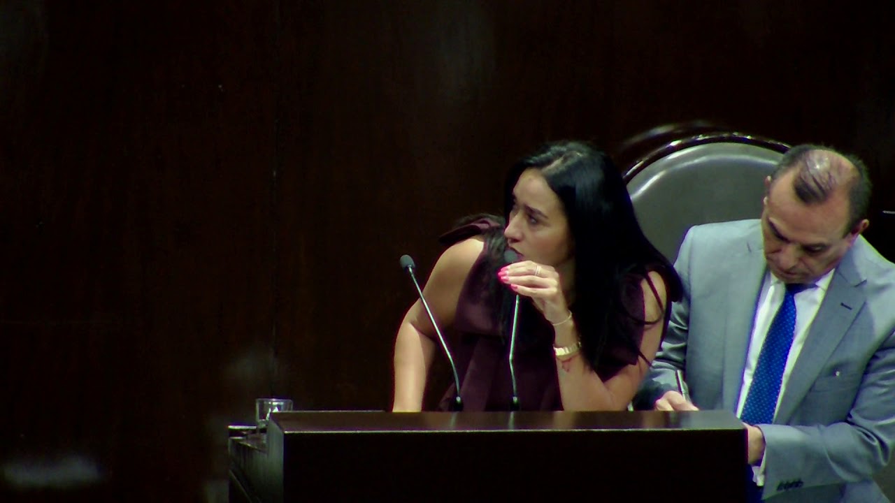 Votación del dictamen de la Ley Federal Entidades Paraestatales congreso del peru