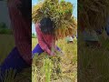 wait for end #fun #ytshorts #youtubevideos #funny #foryou