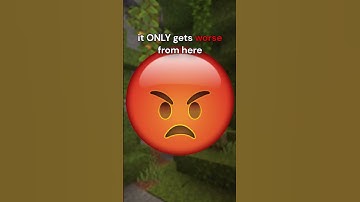 The INSANE Reason Why Stone Armour Isn