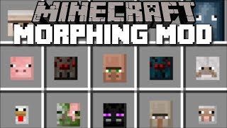 Minecraft MORPH ANY MOB MOD / MORPH YOUR OWN MOBS!! Minecraft