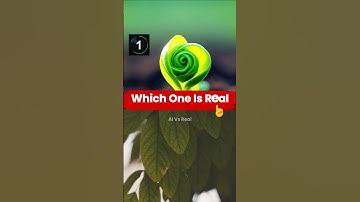 Can you tell which one is the AI? #aivsreal
