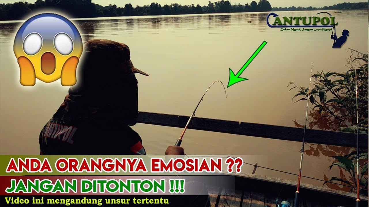 Strike Udang Galah Bertubi Tubi Joran Sampai Patah Youtube