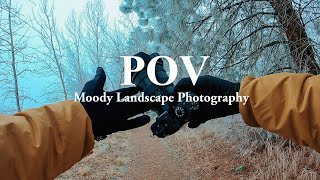 Relaxing POV Nature Photography | Frozen  Forest Exploring