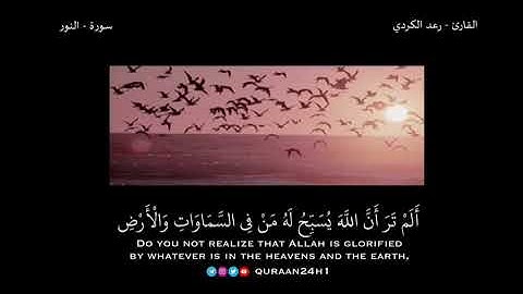 تلاوة مباركة بصوت القارئ رعد الكردي | أَلَمْ تَرَ أَنَّ اللَّهَ يُسَبِّحُ لَهُ مَن فِي السَّمَاوَاتِ