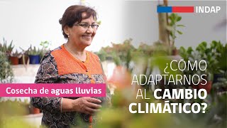 Cosecha De Aguas Lluvias Para Un